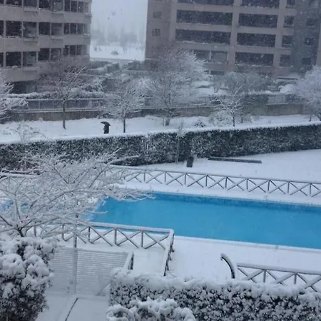 Grazioso Immerso Nel *