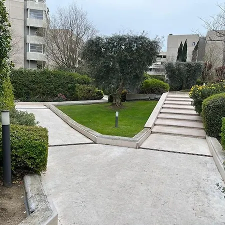 Grazioso Immerso Nel Appartement *